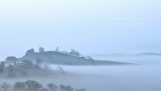 Teufelsmauer im Morgennebel